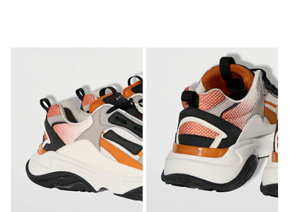 Amiri Shoes